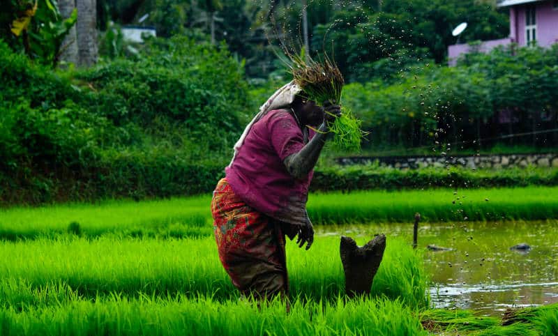 sustainable farming