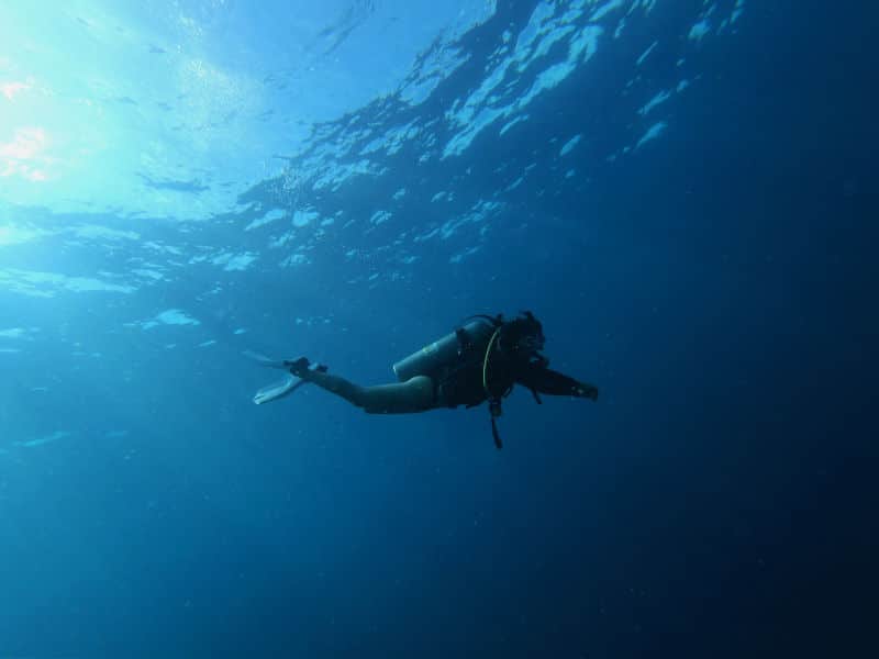 save the ocean diver