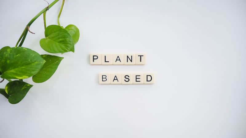 sustainable plant based