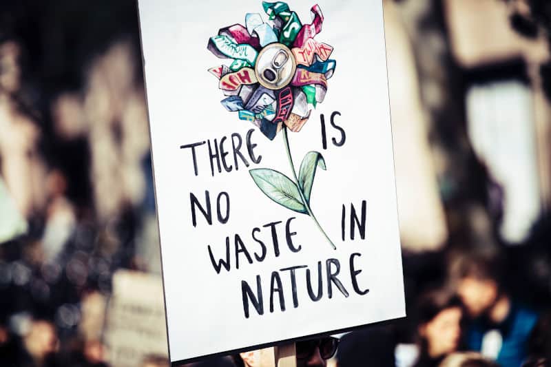 sustainable flower poster