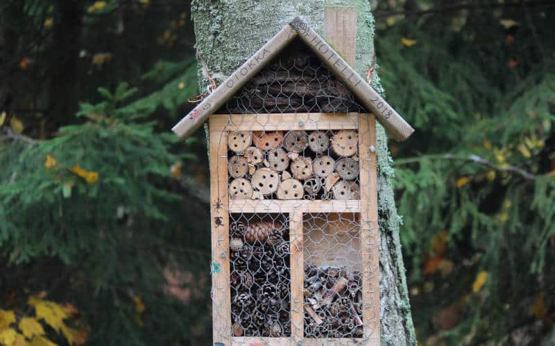 wildlife garden insect hotel