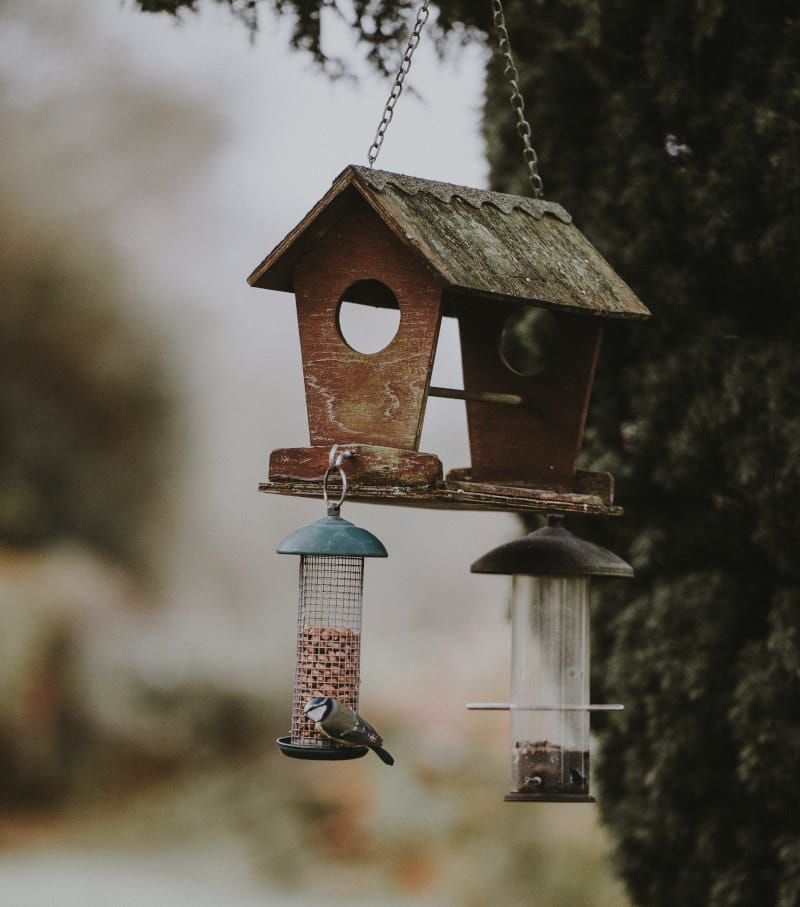 gardening for wildlife