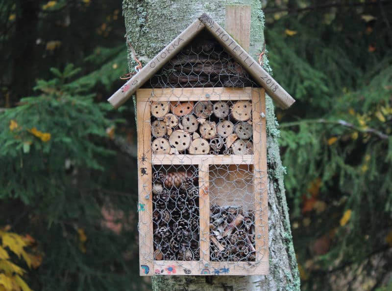 insect hotel