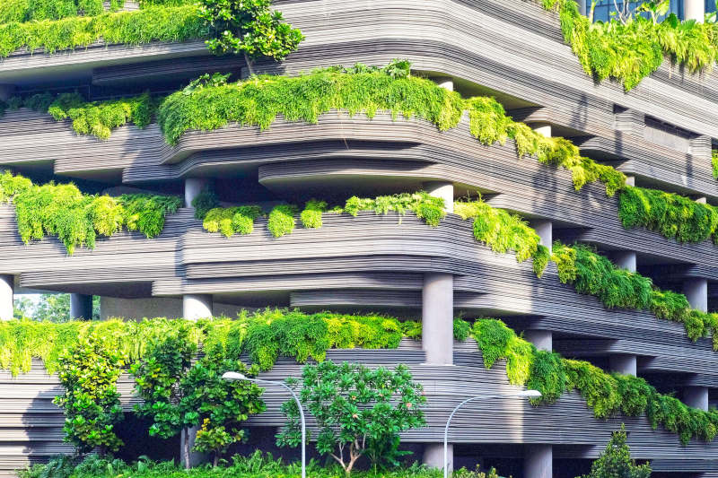 eco architecture