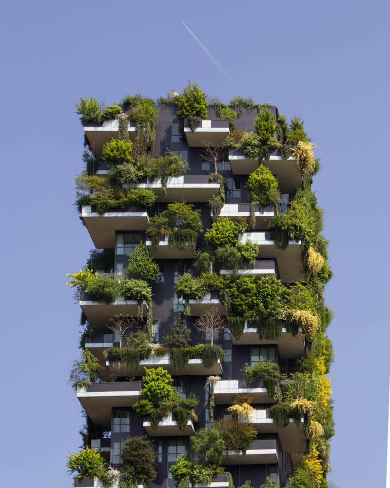 eco brutalism