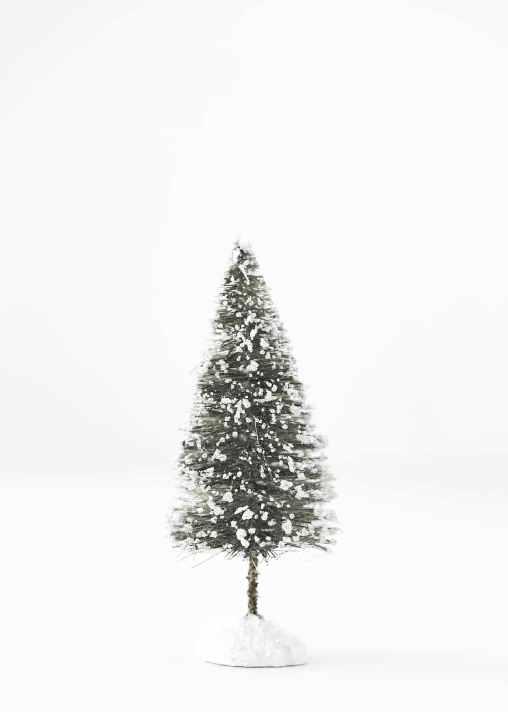 10 Most Eco-Friendly Christmas Trees and Decorations