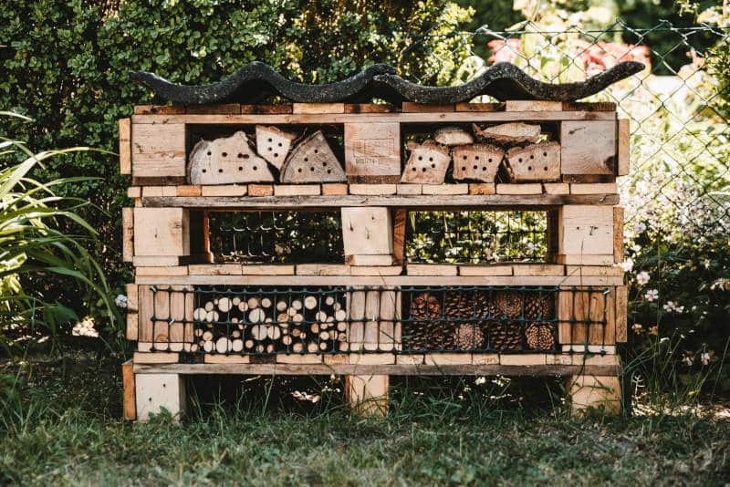 bee hotel 1