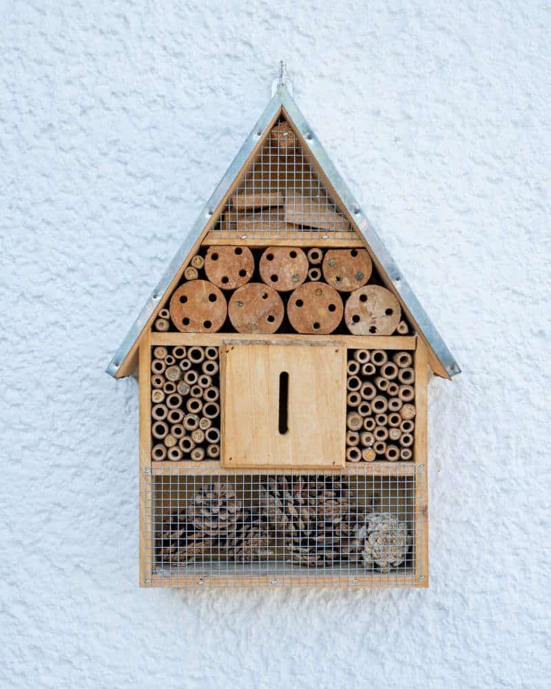 bee hotel