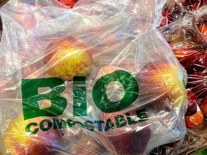 compostable bag