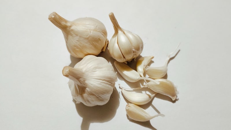 garlic natural mosquito repellent